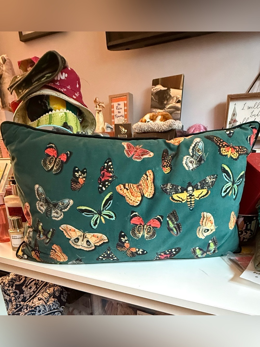 Rachel Zoe Velvet Butterfly Print Decorative Lumbar Pillow